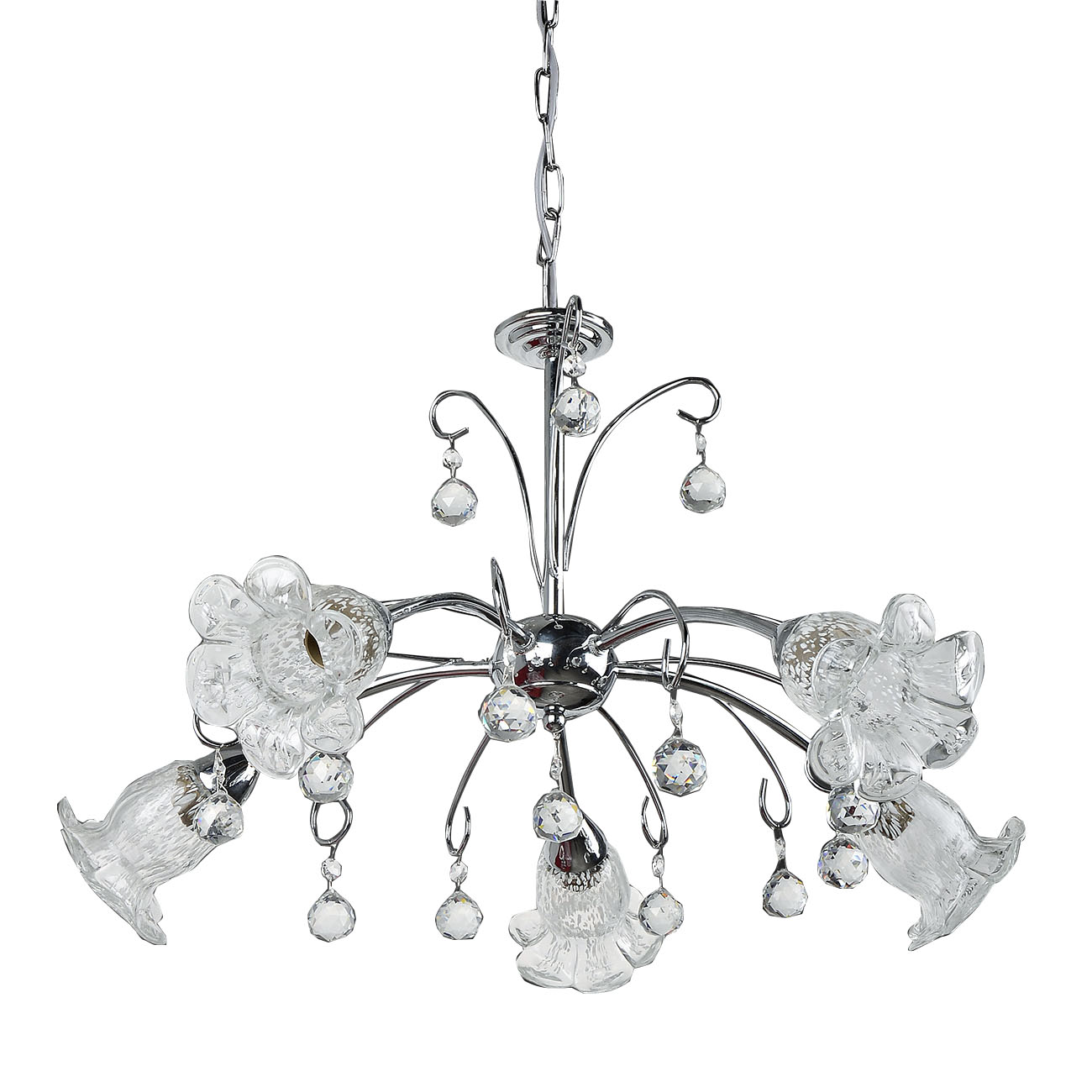 _-1630-5ci_copy